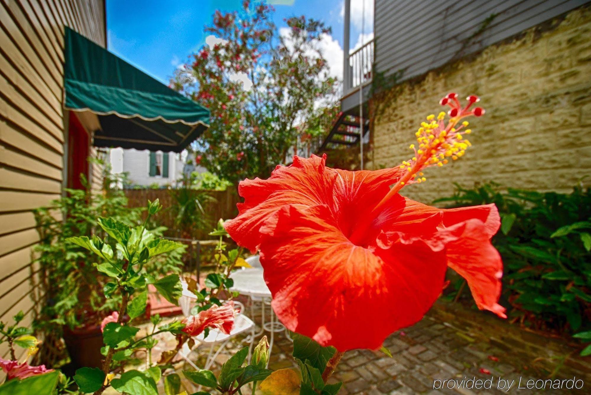 Lamothe House Hotel A French Quarter Guest Houses Property Новый Орлеан Экстерьер фото